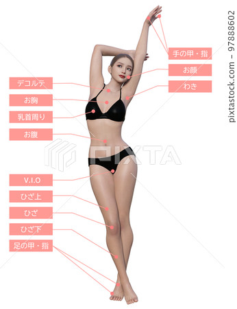 Playful Beautiful Leggy Model Posing On White, Full Body Studio Portrait  Stock Photo, Picture and Royalty Free Image. Image 18320941.