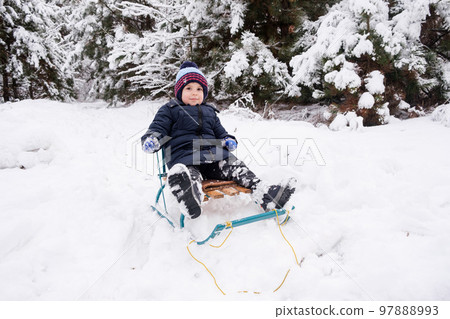 A preschooler boy sleds in a snow-covered forest in the winter 97888993