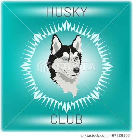 Realistic black and white blue-eyed fluffy siberian husky dog head emblem for owners' club or prints Realistic black and white blue-eyed fluffy siberian husky dog head emblem for owners' club or prints 97889163