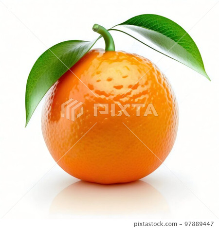 Mandarin isolated on white background Mandarin isolated on white background 97889447