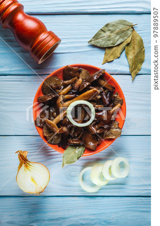 Armillaria mellea or honey fungus marinated in an orange plate with spices and onions on a blue table. Idea for a delicious snack for breakfast or lunch Armillaria mellea or honey fungus marinated in an orange plate with spices and onions on a blue table. Idea for a delicious snack for breakfast or lunch 97889507