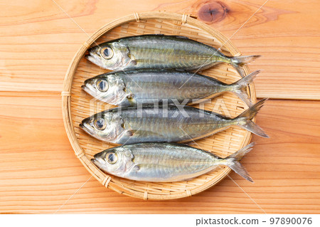 Horse mackerel (Japanese horse mackerel) 97890076