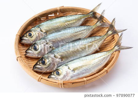 竹莢魚(日本竹莢魚) 竹莢魚(日本竹莢魚) 97890077