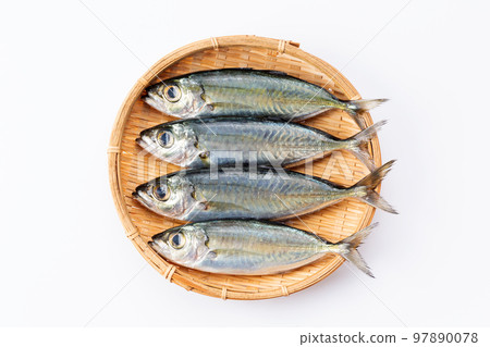 竹莢魚(日本竹莢魚) 竹莢魚(日本竹莢魚) 97890078
