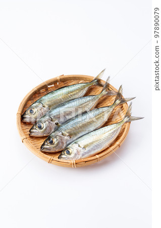 竹莢魚（日本竹莢魚） 97890079