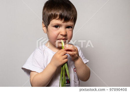 Child boy eats fresh green onions and frowns, twists from his taste. Proper nutrition of children, greens and vegetables in the diet. Child boy eats fresh green onions and frowns, twists from his taste. Proper nutrition of children, greens and vegetables in the diet. 97890408