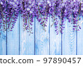 Floral wooden background with purple acacia flowers. 97890457