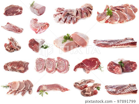 pork meats in studio pork meats in studio 97891799