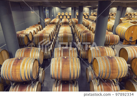 wine cellar full of wooden barrels in Barolo, Piedmont, Italy 97892334
