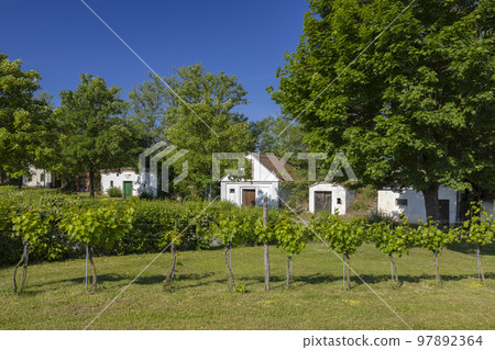 Traditional wine cellars street (kellergasse) in Ungerndorf, Lower Austria, Austria 97892364