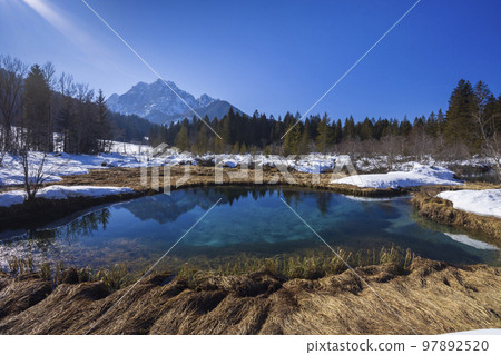 winter landscape in Zelenci, Slovenia winter landscape in Zelenci, Slovenia 97892520