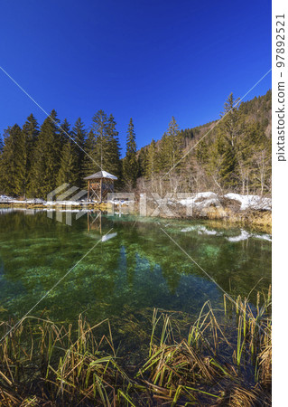 winter landscape in Zelenci, Slovenia winter landscape in Zelenci, Slovenia 97892521