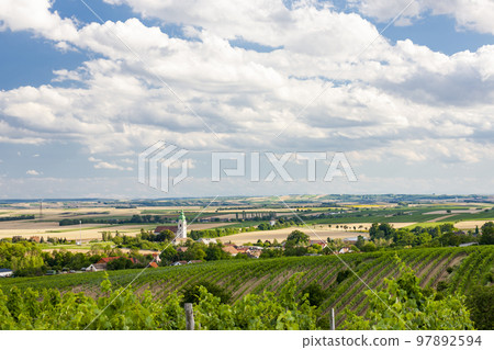 Unterretzbach with vineyards, Lower Austria, Austria Unterretzbach with vineyards, Lower Austria, Austria 97892594