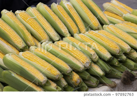 corn on the street market in Eger, Hungary corn on the street market in Eger, Hungary 97892763