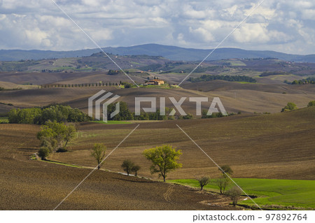 Typical Tuscan landscape near Siena, Tuscany, Italy 97892764