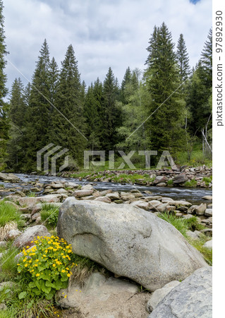 Vydra creek in Sumava National Park, Czech Republic Vydra creek in Sumava National Park, Czech Republic 97892930