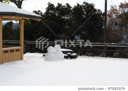 Footprints of a cute cat in an uninhabited park covered in snow 97892976
