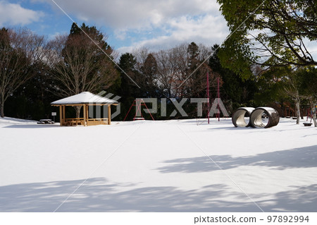 一隻可愛貓的腳印在一個被雪覆蓋的無人居住的公園裡 97892994