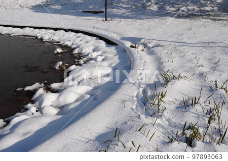 Footprints of a cute cat in an uninhabited park covered in snow Footprints of a cute cat in an uninhabited park covered in snow 97893063