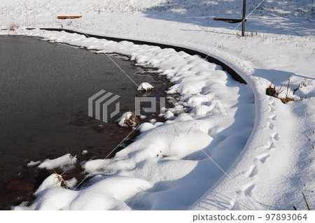 Footprints of a cute cat in an uninhabited park covered in snow Footprints of a cute cat in an uninhabited park covered in snow 97893064