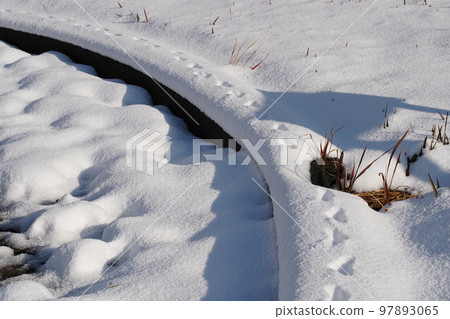 一隻可愛貓的腳印在一個被雪覆蓋的無人居住的公園裡 一隻可愛貓的腳印在一個被雪覆蓋的無人居住的公園裡 97893065