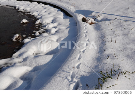 一隻可愛貓的腳印在一個被雪覆蓋的無人居住的公園裡 一隻可愛貓的腳印在一個被雪覆蓋的無人居住的公園裡 97893066