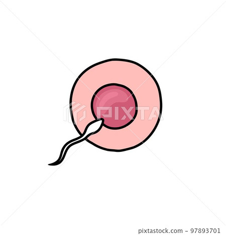 ovum and sperm doodle icon, vector color line illustration ovum and sperm doodle icon, vector color line illustration 97893701