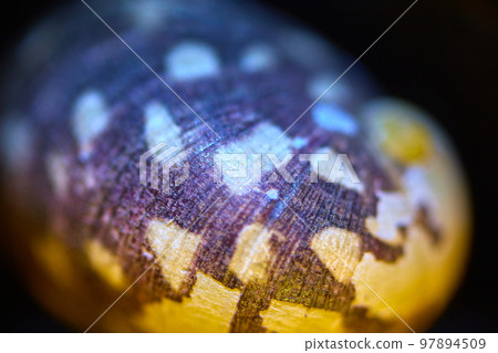 beautiful wave pattern texture beautiful wave pattern texture 97894509