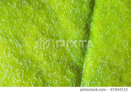 beautiful autumn patterns beautiful autumn patterns 97894515