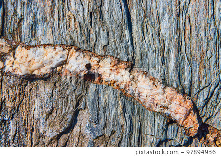 Detail of mineral quartz vein running through section of rock Detail of mineral quartz vein running through section of rock 97894936