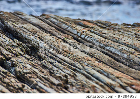 Detail of layered rocks like petrified wood on Maine coast Detail of layered rocks like petrified wood on Maine coast 97894958