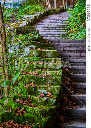 Detail of endless stairs with mossy edge and fall leaves Detail of endless stairs with mossy edge and fall leaves 97894988