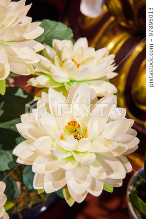 Detail of white lotus flowers around golden objects 97895013