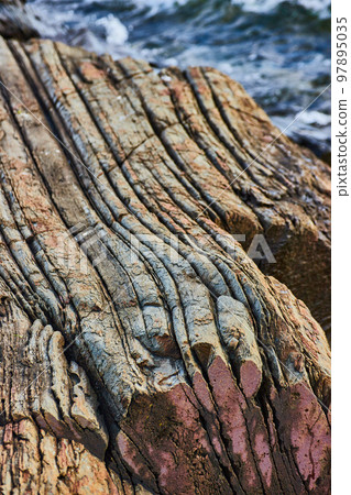 Detail of petrified wood looking rocky coast in Maine with waves in background 97895035