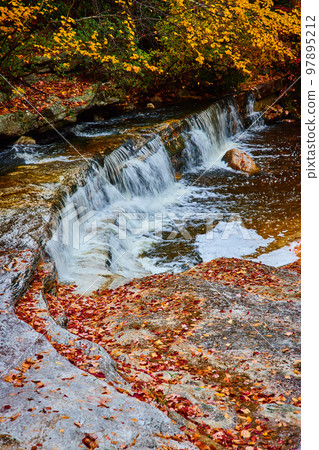 Cascading small waterfalls in river with exposed rocks covered in fall leaves 97895212