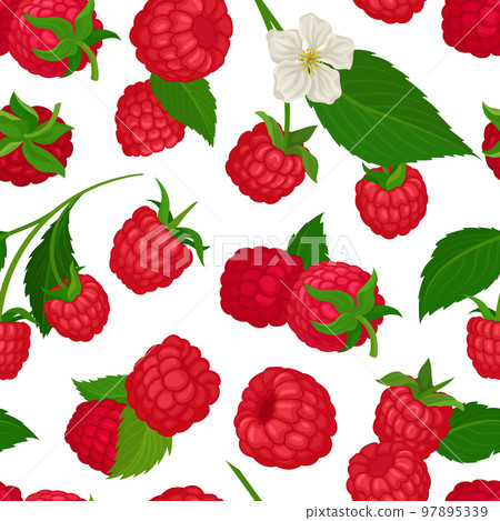 Ripe juicy raspberry seamless pattern. Organic ripe berries, healthy natural vegetarian food repeating print for wallpaper, wrapping paper, textile, package design cartoon vector Ripe juicy raspberry seamless pattern. Organic ripe berries, healthy natural vegetarian food repeating print for wallpaper, wrapping paper, textile, package design cartoon vector 97895339