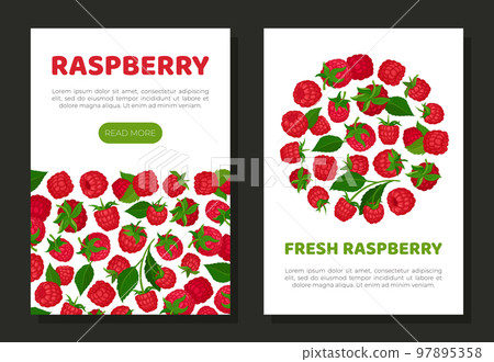 Fresh raspberry mobile app templates set. Organic ripe berries, healthy natural vegetarian product web banner, card cartoon vector 97895358