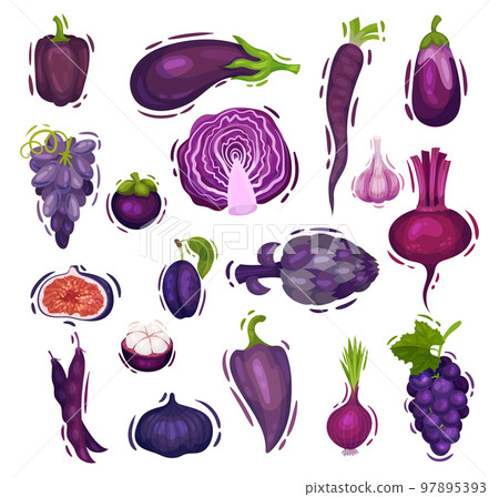 Set of purple vegetables and fruits set. Cauliflower, grape, eggplant, beetroot, plum cartoon vector 97895393