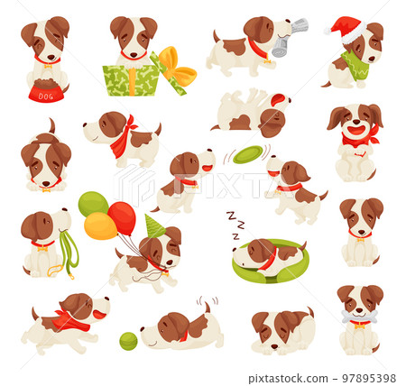 Cute jack russell puppy character in different activities set. Funny terrier eating, playing, sleeping cartoon vector Cute jack russell puppy character in different activities set. Funny terrier eating, playing, sleeping cartoon vector 97895398