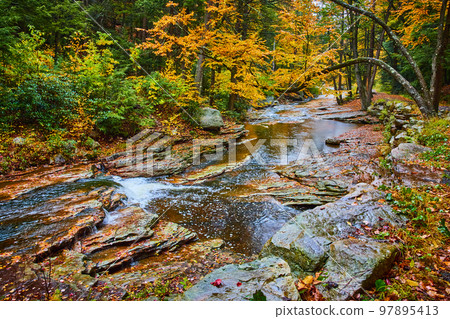 Beautiful river in peak fall with waterfall and tree hanging over with yellow fall leaves 97895413