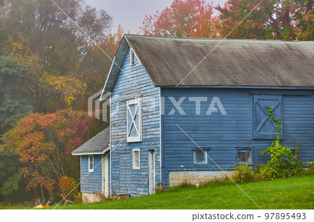 Beautiful aging blue barn shed with vines tucked against fall forest edge 97895493