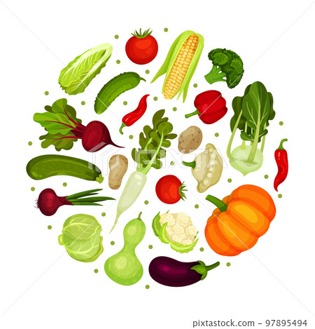 Fresh vegetables in round shape. Farm organic healthy food banner, poster, card design template cartoon vector 97895494