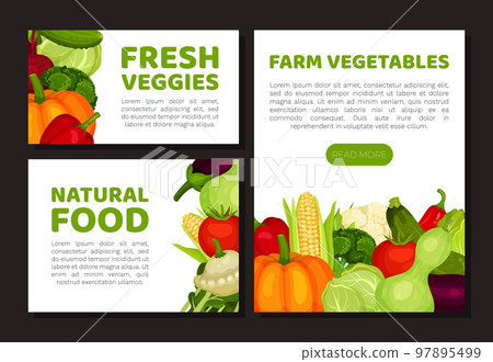 Fresh veggies natural food web banner and card templates set. Farm organic vegetables landing page, card, poster design cartoon vector Fresh veggies natural food web banner and card templates set. Farm organic vegetables landing page, card, poster design cartoon vector 97895499