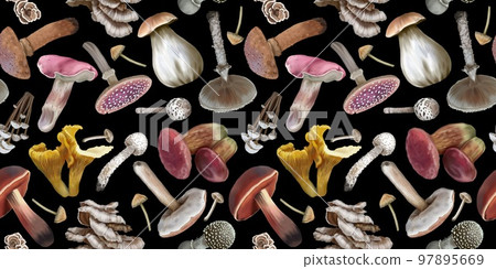 Watercolor seamless mushroom pattern. Realistic mushrooms. autumn pattern 97895669