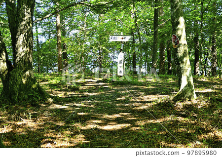 Mt. Asahi in the Doshi Massif, the summit of the summer forest 97895980