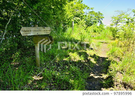 The summit of Mt. Nabata in the Doshi massif 97895996