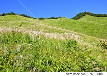 多西地塊夏季草原的古座山 97896083