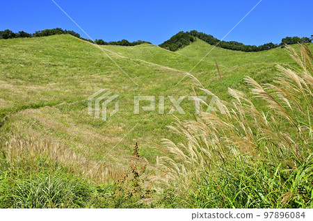 多西地塊夏季草原的古座山 97896084