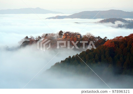 Castle in the sky 2624 97896321