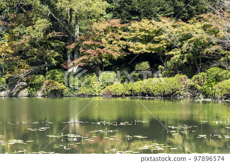 海地獄:睡蓮池和睡蓮池 海地獄:睡蓮池和睡蓮池 97896574